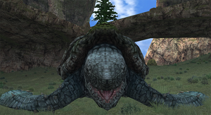 Mount Torta.png