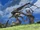 Xenoblade hd-42.jpg