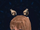 Armet 5-F.png