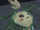 Muimui.png