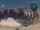 Big Arch