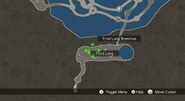 Vivid Anstan Location