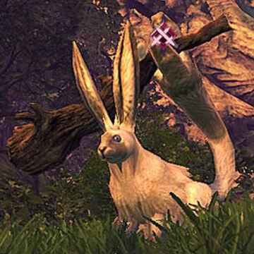 Moonlighting Elwyn | Xenoblade Wiki | Fandom