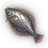 Morphling Flounder icon.png