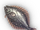Morphling Flounder