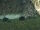 Gamaro Hollow