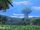 Makna Forest.jpg