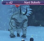 XC2 Nant Buloofo