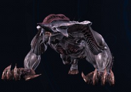 Behemoth