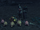 Dodonga 商队 (4).png