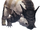 Ovis A.png