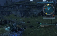 XCX-FN-Site-116-01
