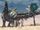 Gradivus beach 白天.jpg