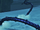 Great Void