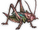 Prickly Cricket