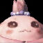 Pulala.jpg