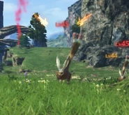 Bunnit | Xenoblade Wiki | Fandom