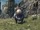 XCX-Biggaton-the-Runaway-Express-01.png
