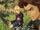 XC1DE-Reyn-and-Shulk.jpg