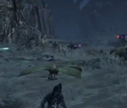 XCX-Drone-Mortifole-01