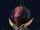 Zyi 7-F.png