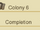 Colony 6 Collection
