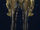Plantars 8-F.png