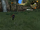 Rho Oasis.png