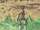 RexAegis.png