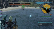 XCX-Beach-Forfex-02