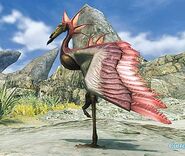 LibelteFlamii