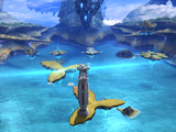 Hovering Reef