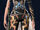 CelicaBodywear.jpg