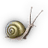 Ashizel icon.png