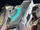 P-Cannon T2.png