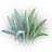 Mya Oats icon.png