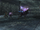 Serene Imlaly.png