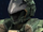 Valor Headwear