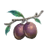 Mottled Mums icon.png