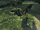 Black Wreckage