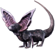Terebra purple