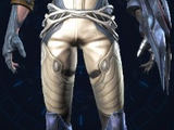 Valor Trudgers