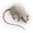 Denemozumi Mouse icon.png