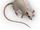 Denemozumi Mouse