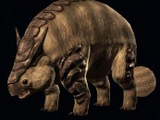 Prowler Ovis