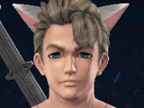 Soft Cat Ears