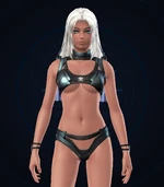 Diving Bodywear F.jpg