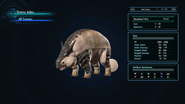 Grassland Ovis