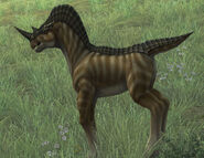 Field ponio