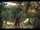 Makna Forest 1.jpg